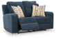 Danum Reclining Loveseat